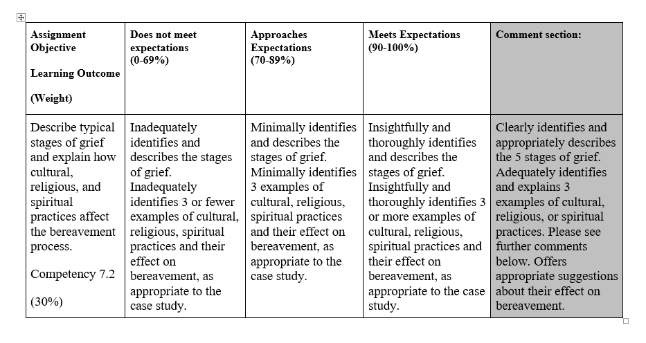 social work case study rubric